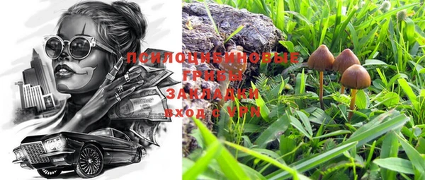 дурь Алексин