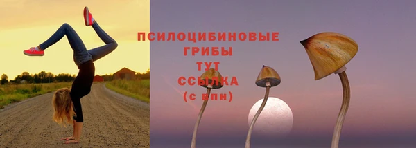 винт Алзамай