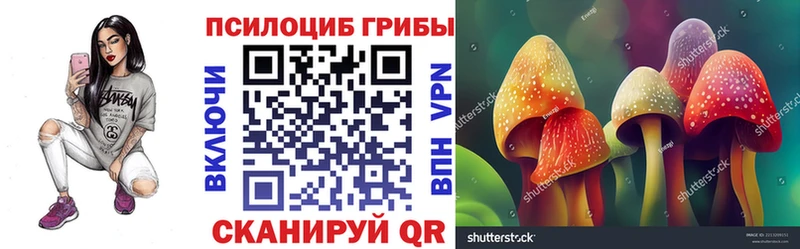 сколько стоит Саров Псилоцибиновые грибы ЛСД